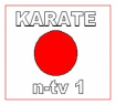 Logo Karate n-tv1